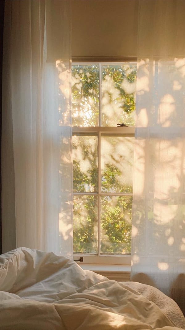 Spring Forward: How Morning Sunlight, Movement, and Caffeine Reset Your Biological Clock